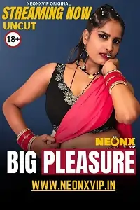 Big Pleasure 2025 Hindi Short Film Bolly4u Big Pleasure 2025 Hindi Short Film Bolly4u